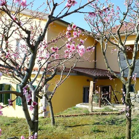 I Tre Grappoli Alloggio per agriturismo