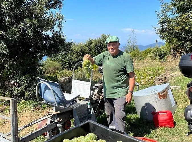 Gospodarstwo agroturystyczne I Tre Grappoli Corniglia