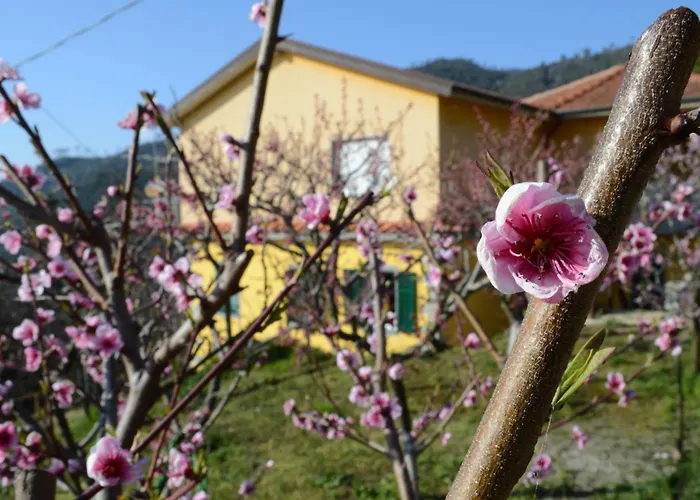 I Tre Grappoli * Corniglia