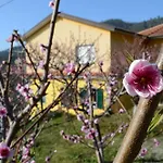 I Tre Grappoli * Corniglia