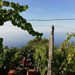 I Tre Grappoli Vakantieboerderij Corniglia