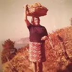 Séjour à la ferme I Tre Grappoli Corniglia