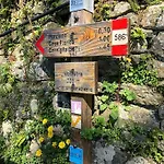 Vakantieboerderij I Tre Grappoli *