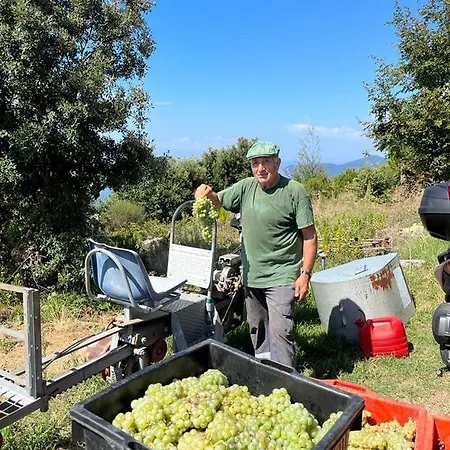 Alloggio per agriturismo I Tre Grappoli Corniglia