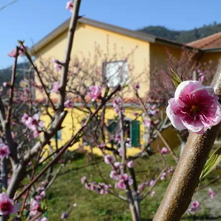 I Tre Grappoli * Corniglia
