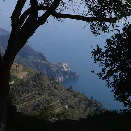 I Tre Grappoli Alloggio per agriturismo Corniglia