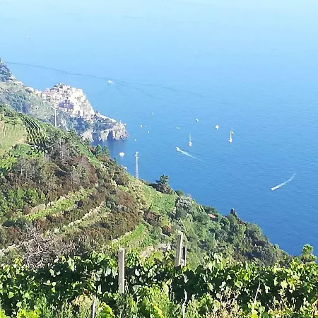 I Tre Grappoli * Corniglia