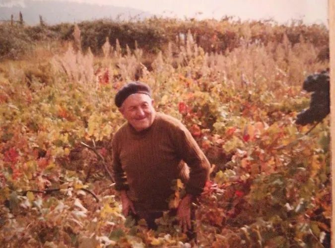 Feriegård I Tre Grappoli